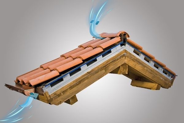 Progetto senza titolo (46)